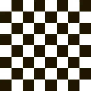 V Dance Floor | Timeless Black & White Grid